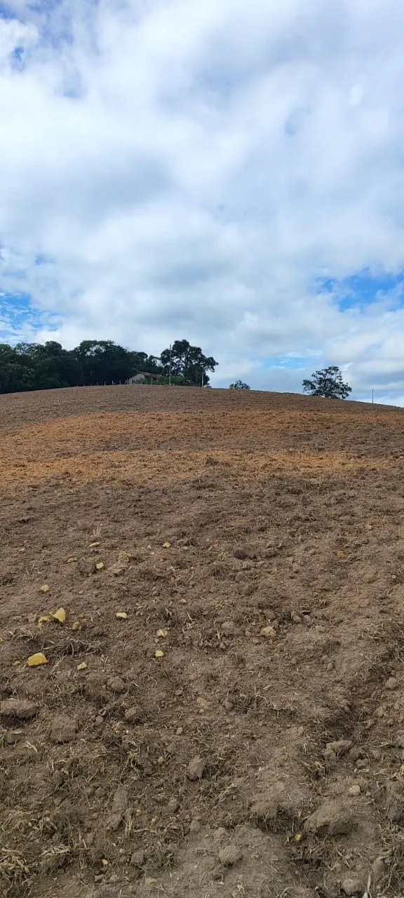 Fazenda à venda de 38 ha em Alambari, SP, Brasil