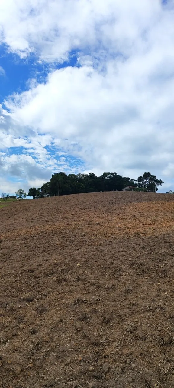 Fazenda à venda de 38 ha em Alambari, SP, Brasil
