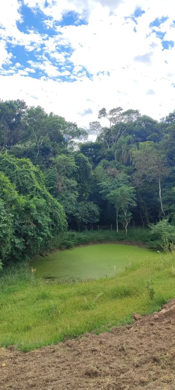 Fazenda à venda de 38 ha em Alambari, SP, Brasil