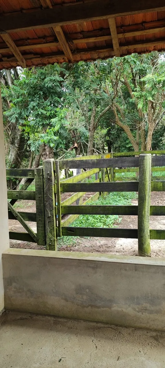Fazenda à venda de 38 ha em Alambari, SP, Brasil