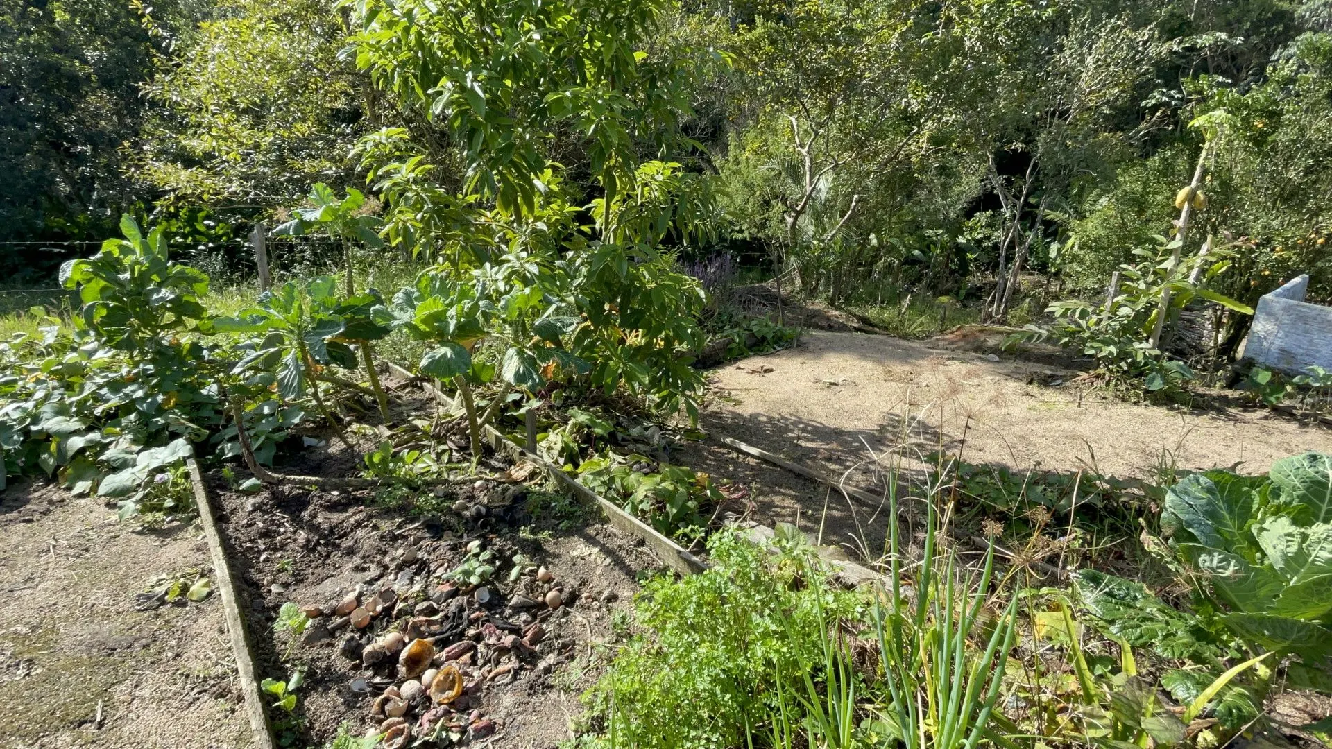 Country home for sale of 2 acres in Imaruí, SC, Brazil