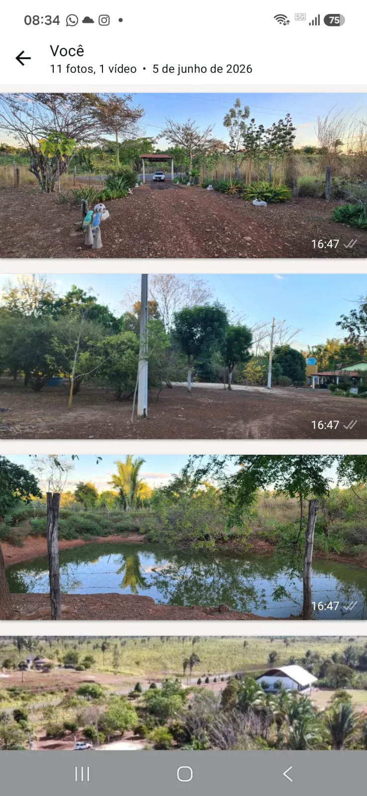 Sítio à venda e para Arrendar de 4 ha em Presidente Dutra, MA, Brasil