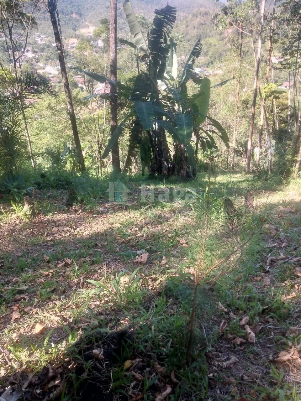 Chácara à venda de 8.880 m² em Guabiruba, SC, Brasil