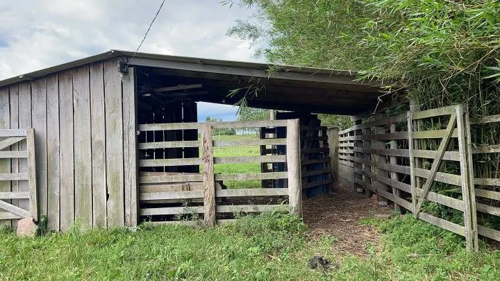 Country home for sale of 7 acres in Glorinha, RS, Brazil