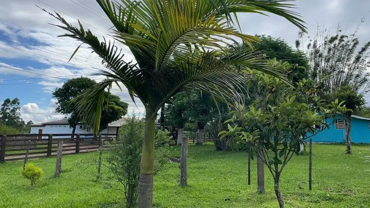 Country home for sale of 7 acres in Glorinha, RS, Brazil