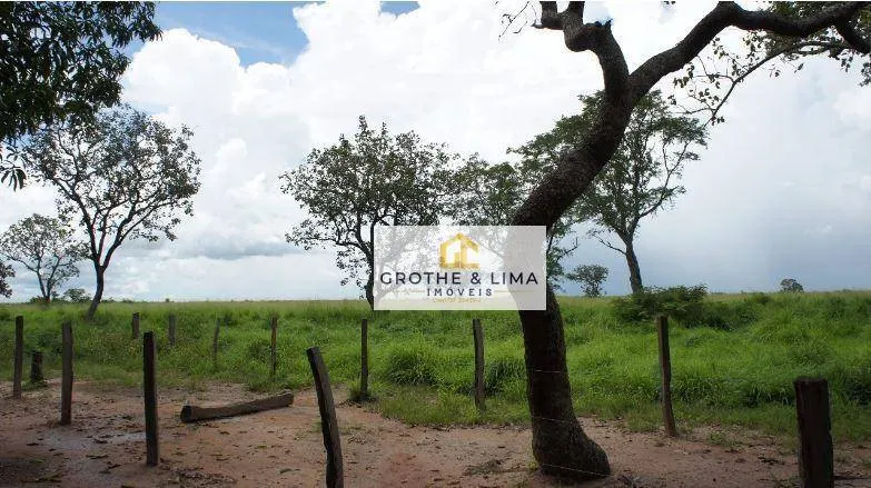 Fazenda à venda de 6.146 ha em Barreiras, BA, Brasil