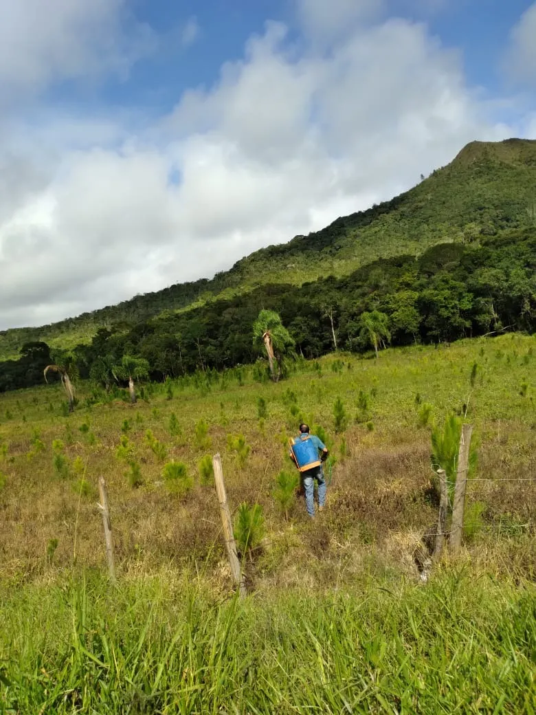 Farm for sale of 419 acres in Guapiara, SP, Brazil