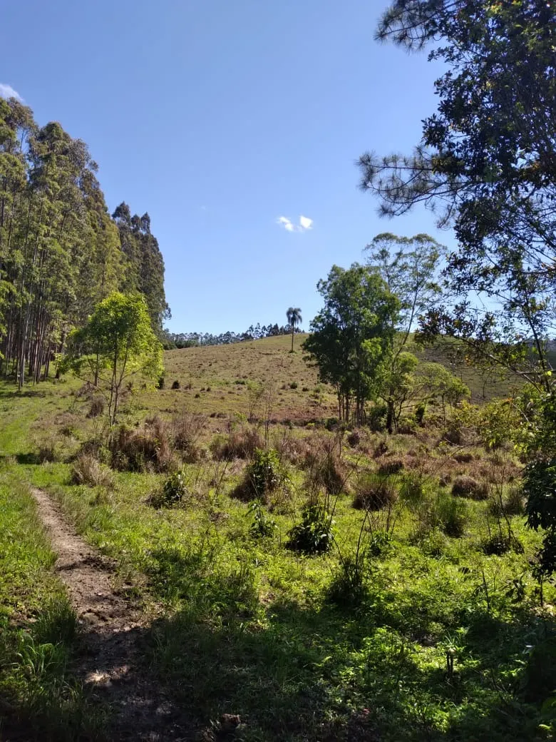 Farm for sale of 419 acres in Guapiara, SP, Brazil