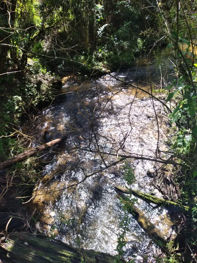 Farm for sale of 419 acres in Guapiara, SP, Brazil