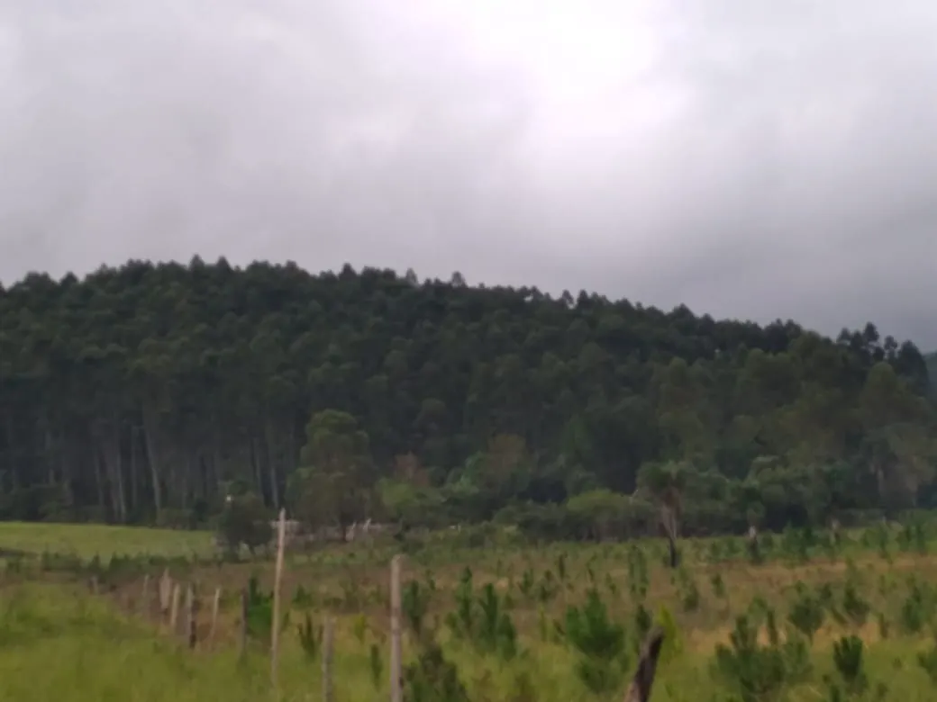 Farm for sale of 419 acres in Guapiara, SP, Brazil