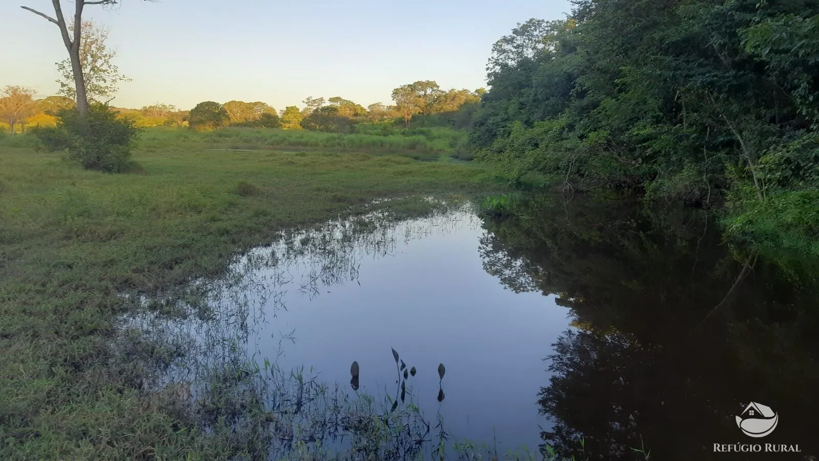 Fazenda à venda de 411 ha em Buritizeiro, MG, Brasil
