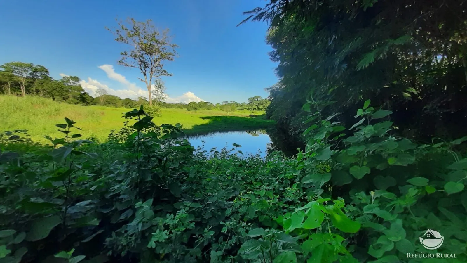 Fazenda à venda de 411 ha em Buritizeiro, MG, Brasil