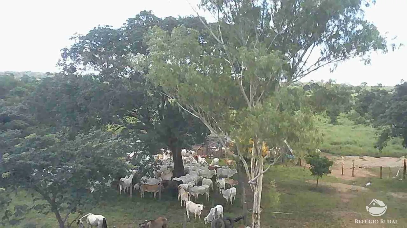 Fazenda à venda de 411 ha em Buritizeiro, MG, Brasil