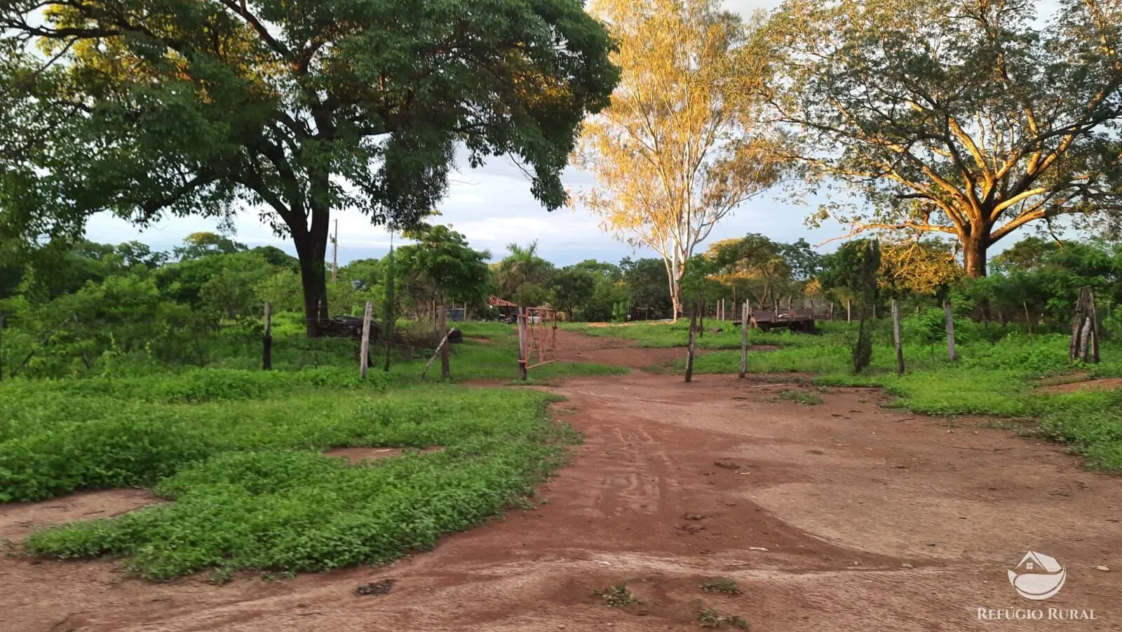 Fazenda à venda de 411 ha em Buritizeiro, MG, Brasil