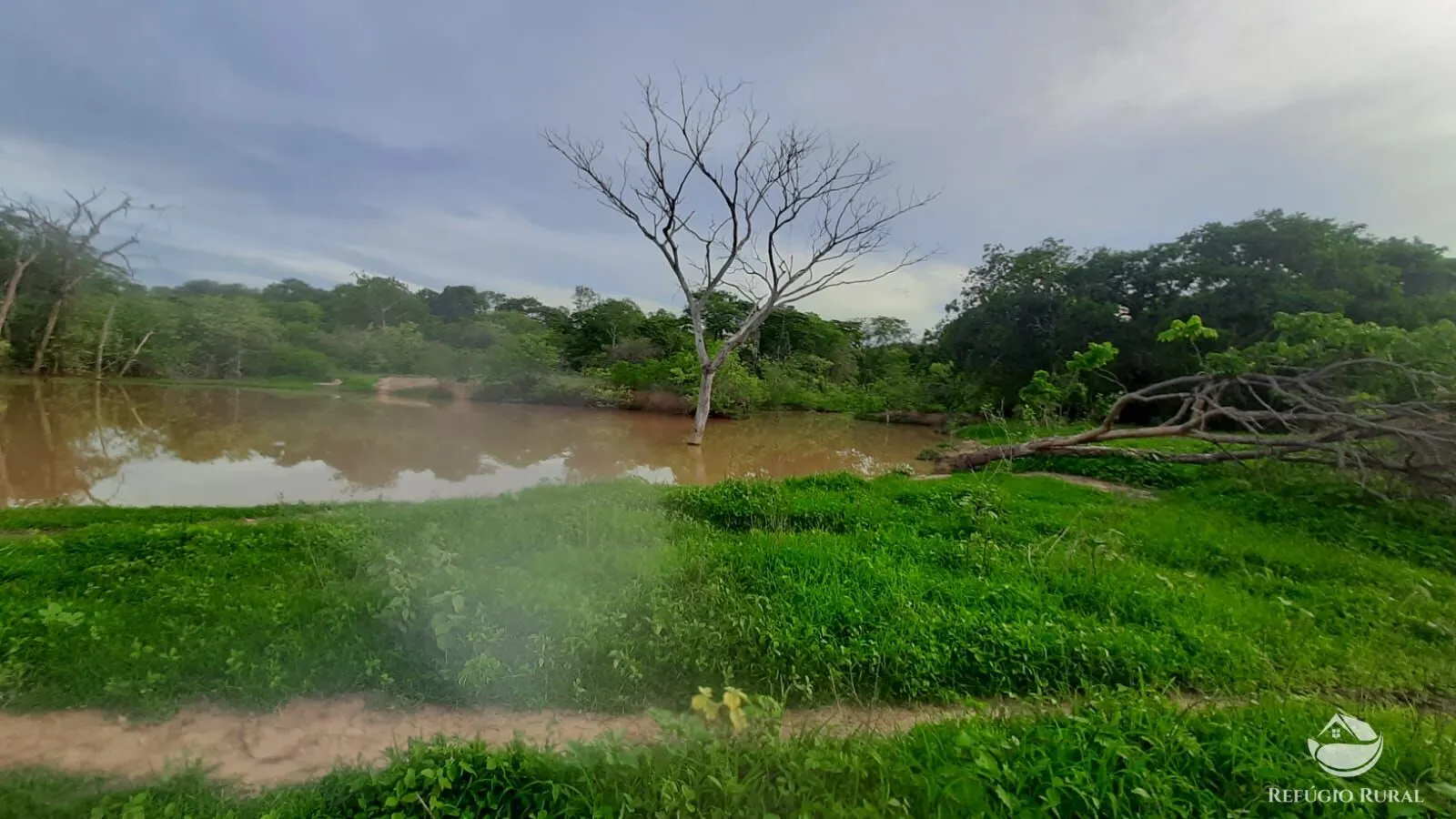 Fazenda à venda de 411 ha em Buritizeiro, MG, Brasil
