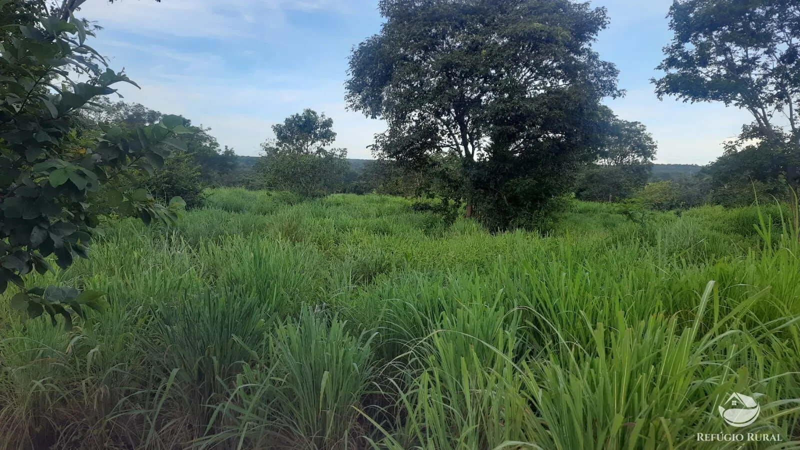Fazenda à venda de 411 ha em Buritizeiro, MG, Brasil