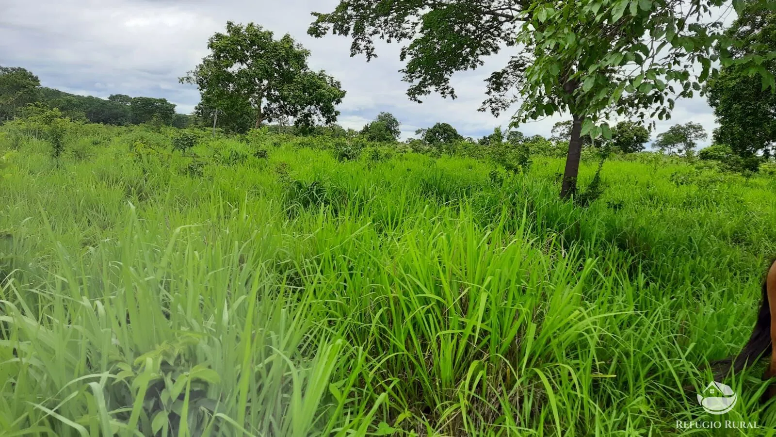 Fazenda à venda de 411 ha em Buritizeiro, MG, Brasil