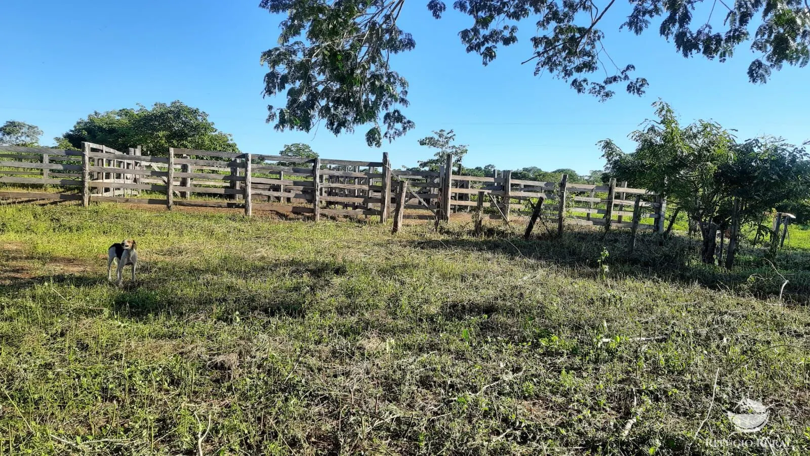 Fazenda à venda de 411 ha em Buritizeiro, MG, Brasil