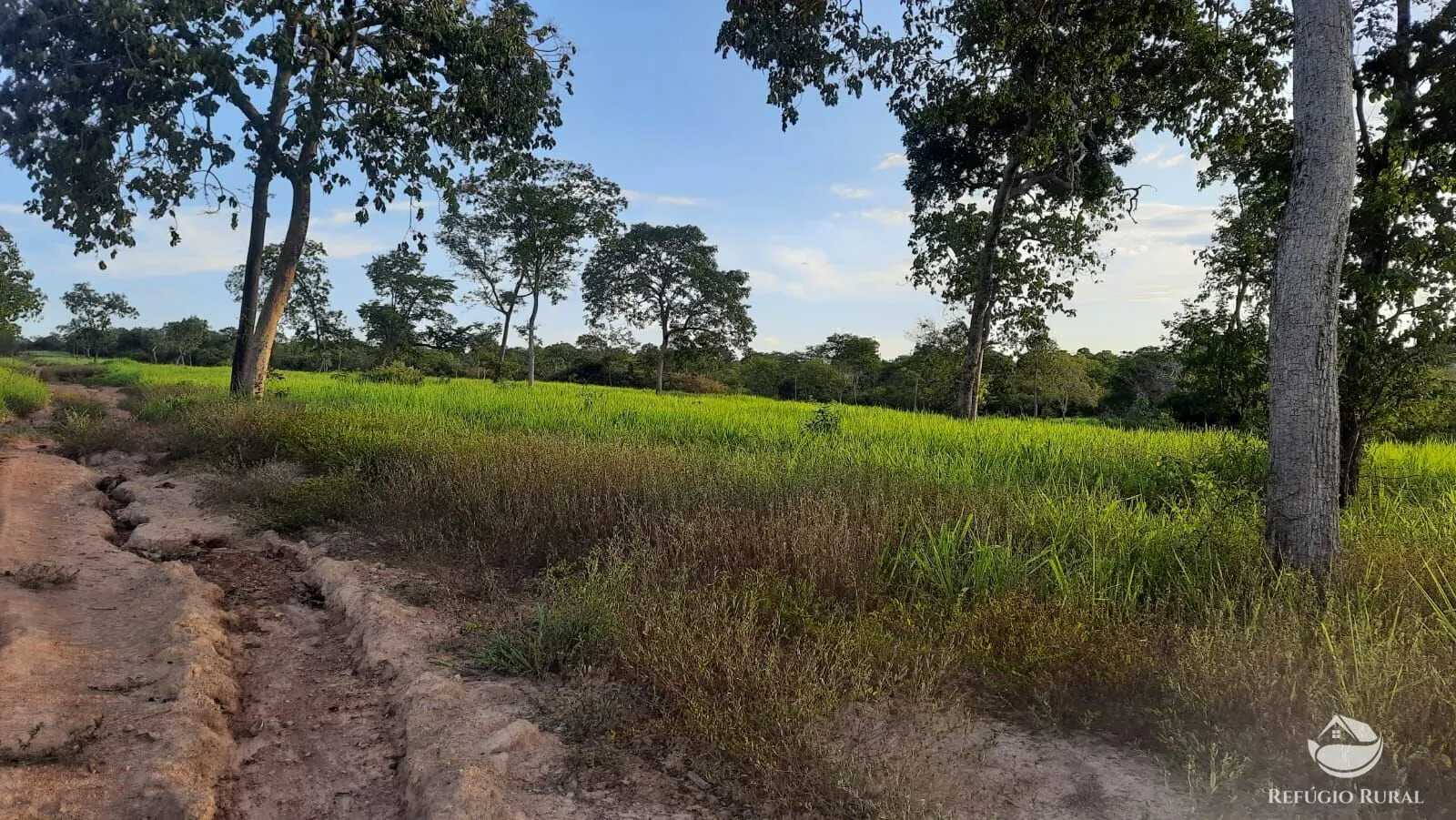 Fazenda à venda de 411 ha em Buritizeiro, MG, Brasil