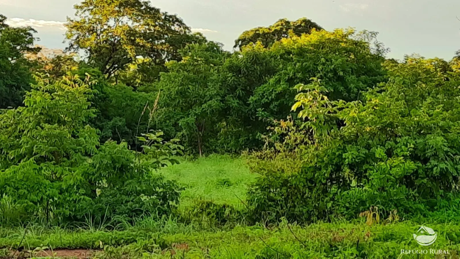 Fazenda à venda de 411 ha em Buritizeiro, MG, Brasil