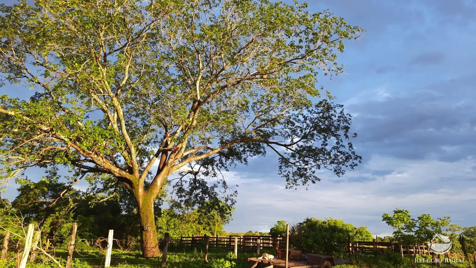 Fazenda à venda de 411 ha em Buritizeiro, MG, Brasil