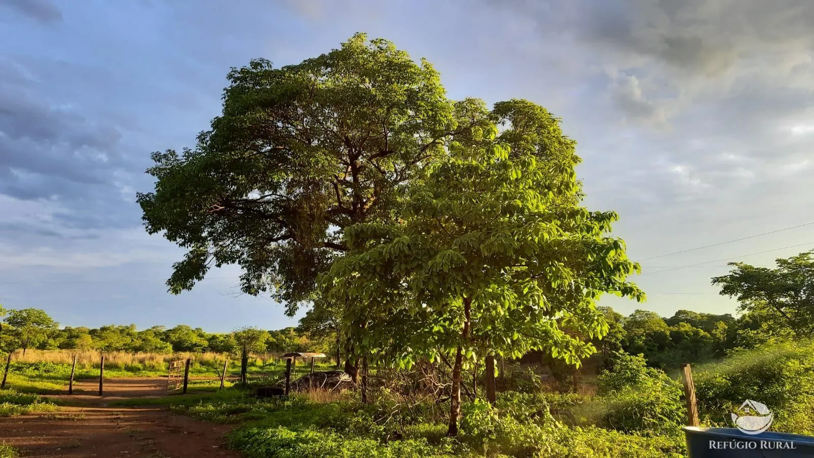 Fazenda à venda de 411 ha em Buritizeiro, MG, Brasil