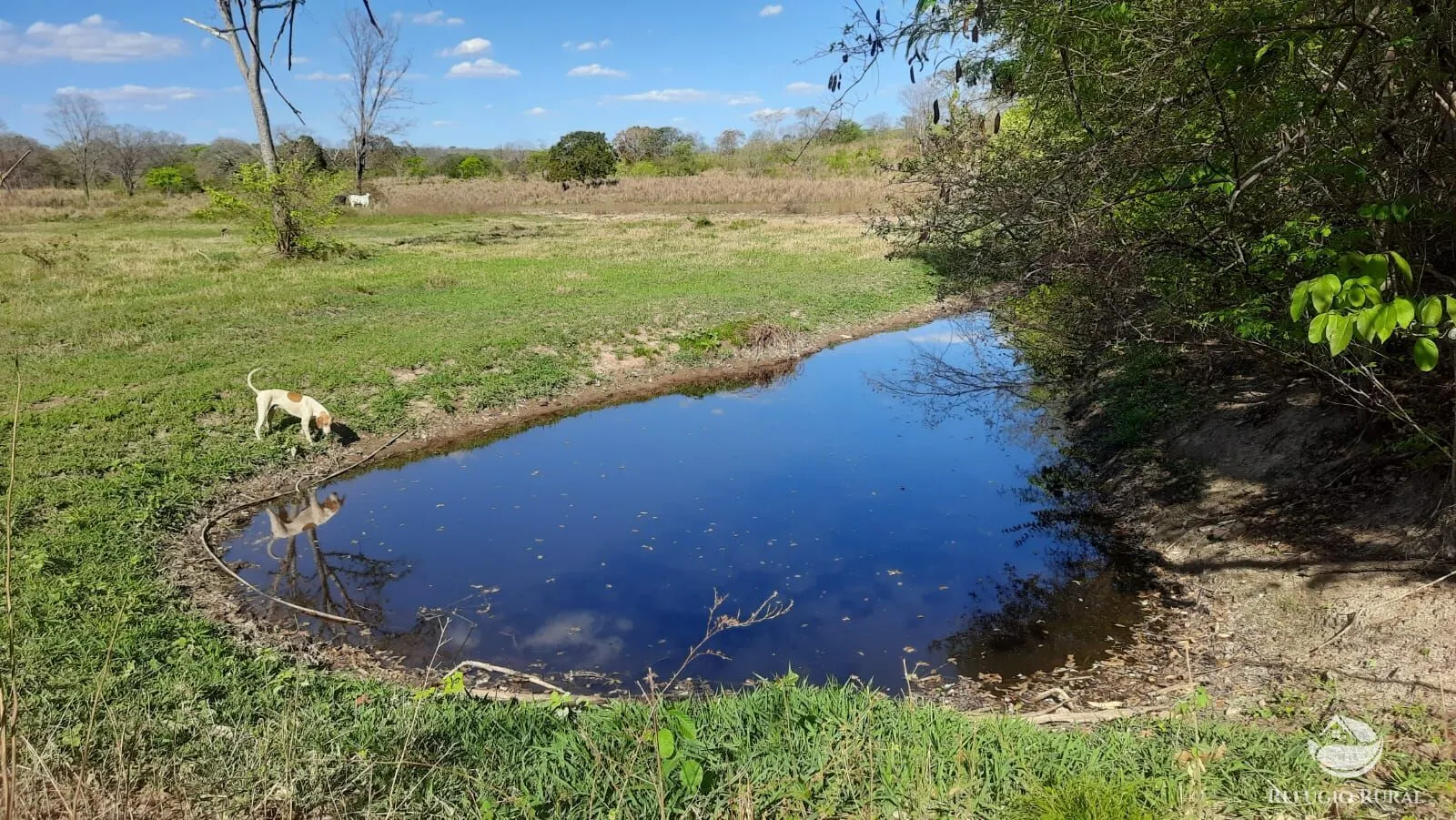 Fazenda à venda de 411 ha em Buritizeiro, MG, Brasil