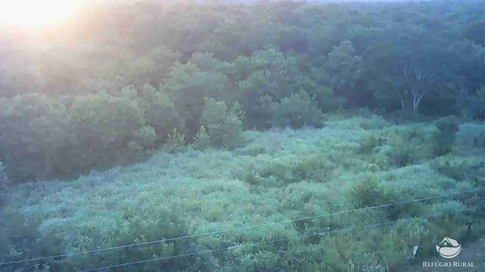 Fazenda à venda de 411 ha em Buritizeiro, MG, Brasil
