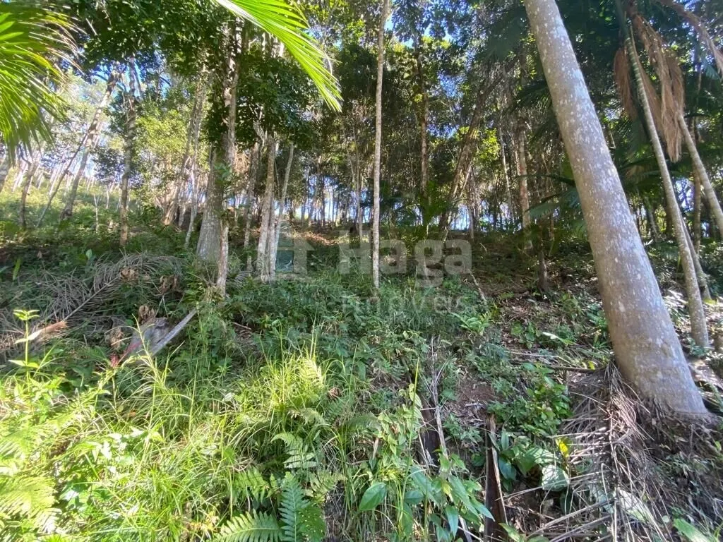 Country home for sale of 4 acres in Canelinha, SC, Brazil