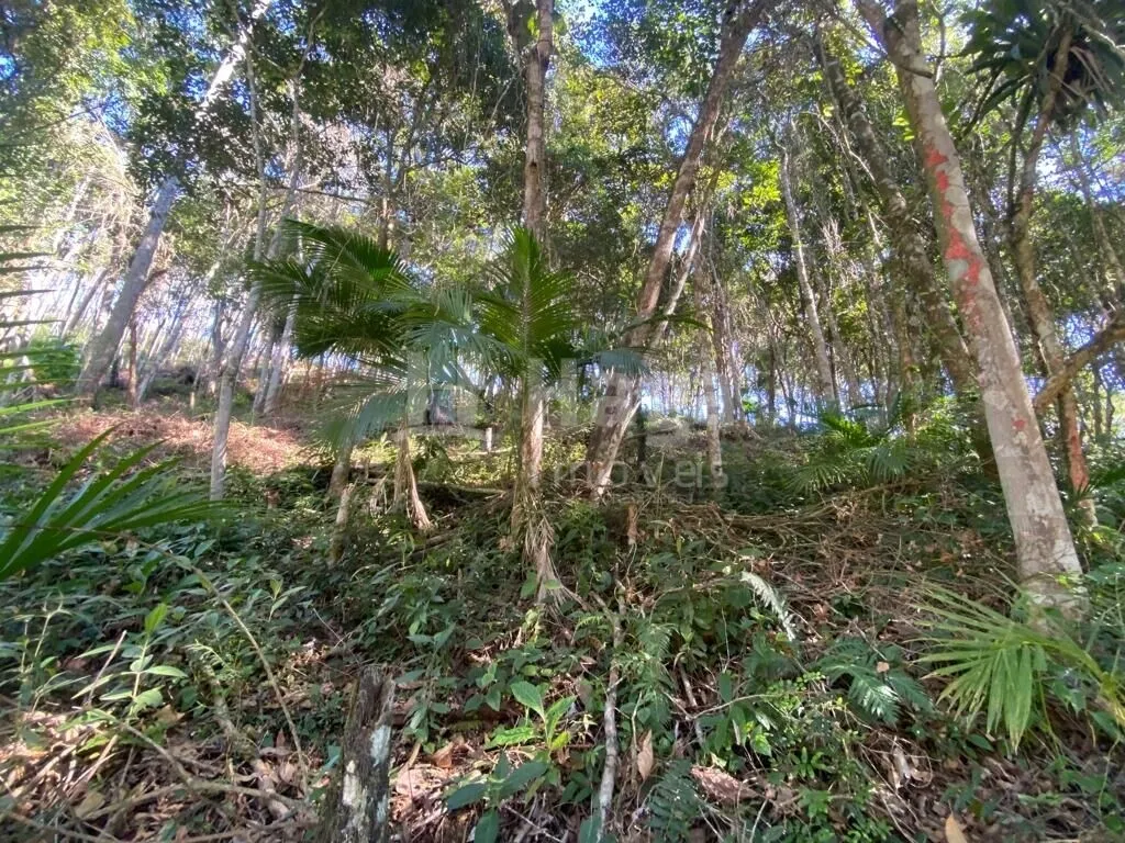 Country home for sale of 4 acres in Canelinha, SC, Brazil