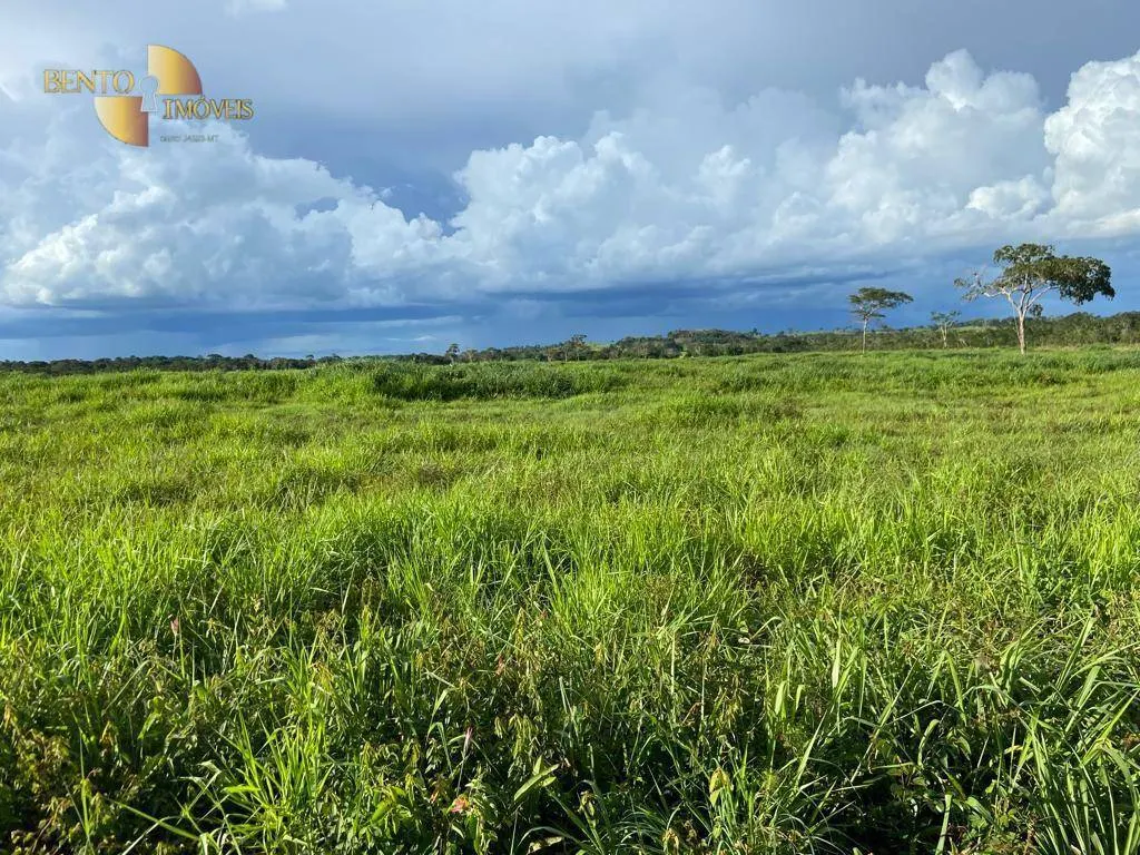 Farm for sale of 247 acres in Pimenta Bueno, RO, Brazil