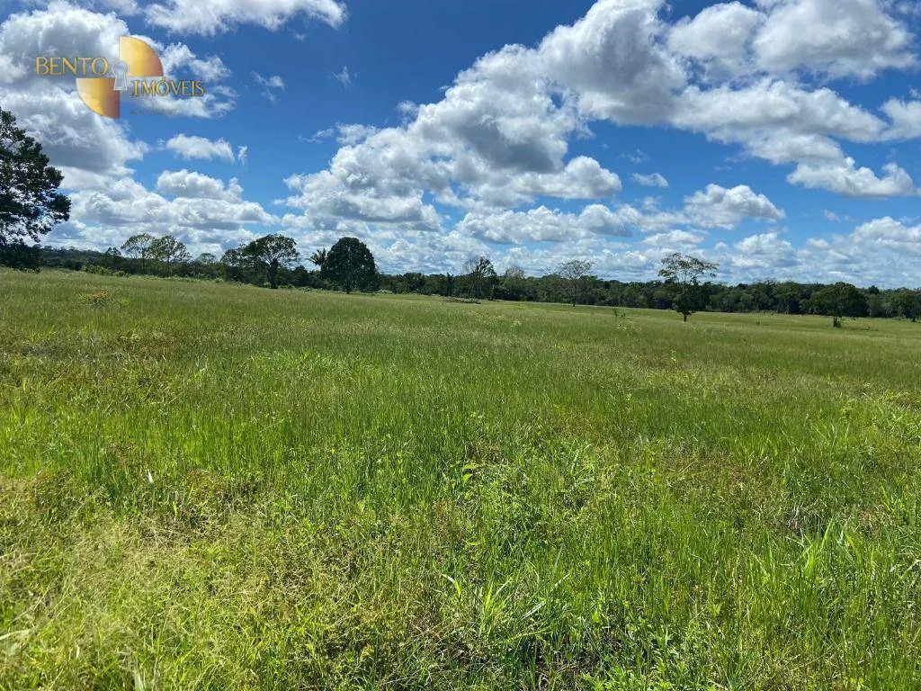 Farm for sale of 247 acres in Pimenta Bueno, RO, Brazil