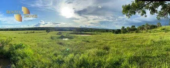 Farm for sale of 247 acres in Pimenta Bueno, RO, Brazil