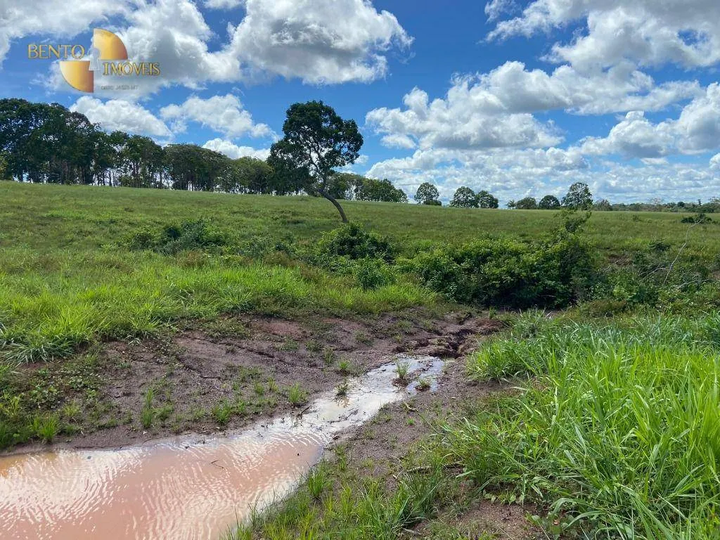 Farm for sale of 247 acres in Pimenta Bueno, RO, Brazil