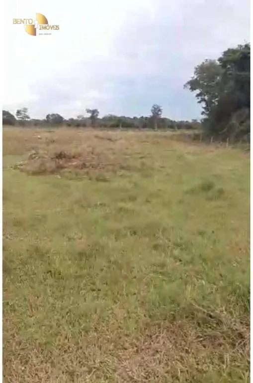 Farm for sale of 247 acres in Pimenta Bueno, RO, Brazil
