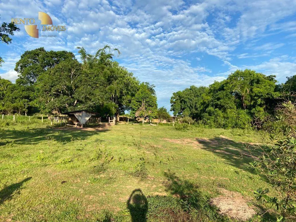 Farm for sale of 247 acres in Pimenta Bueno, RO, Brazil