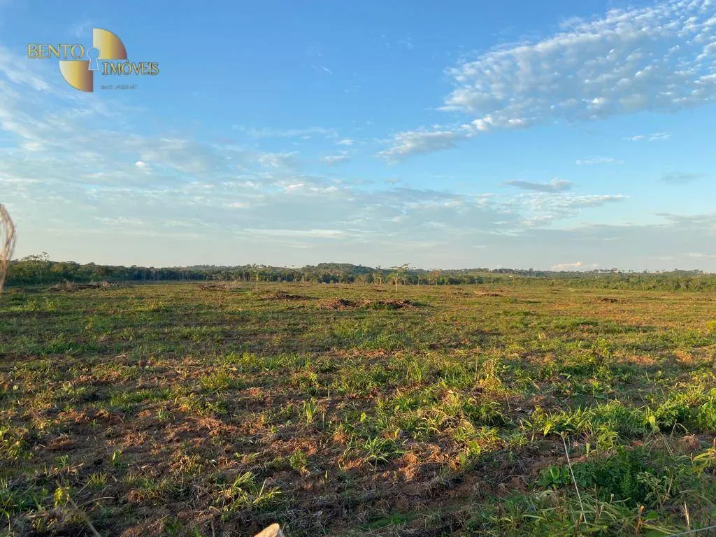 Farm for sale of 247 acres in Pimenta Bueno, RO, Brazil