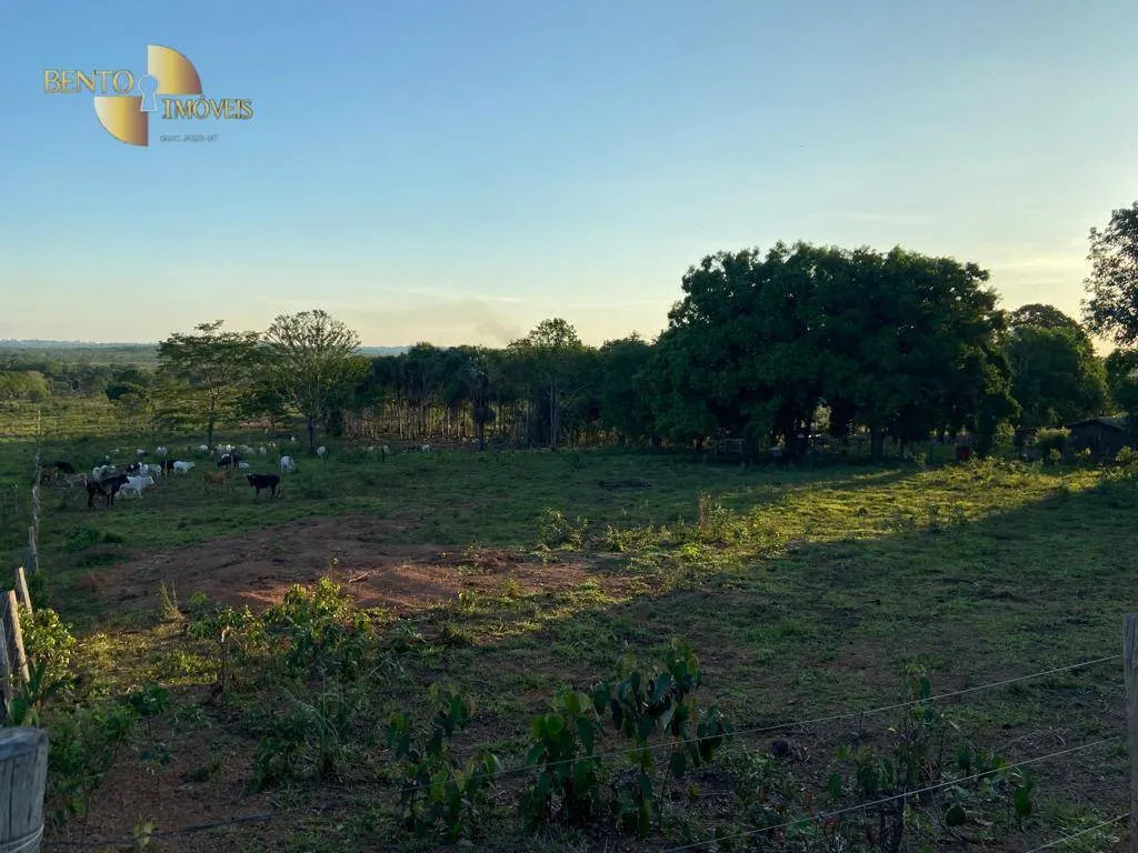 Farm for sale of 247 acres in Pimenta Bueno, RO, Brazil