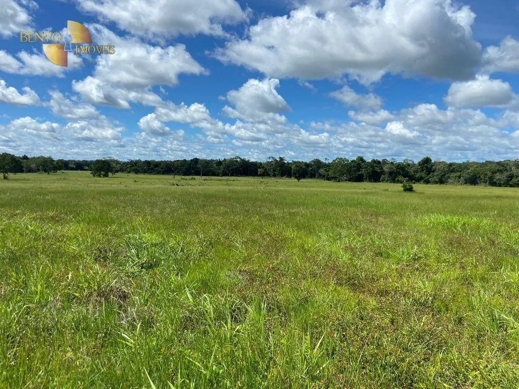 Farm for sale of 247 acres in Pimenta Bueno, RO, Brazil