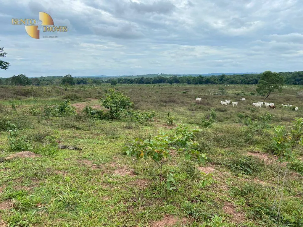 Farm for sale of 247 acres in Pimenta Bueno, RO, Brazil