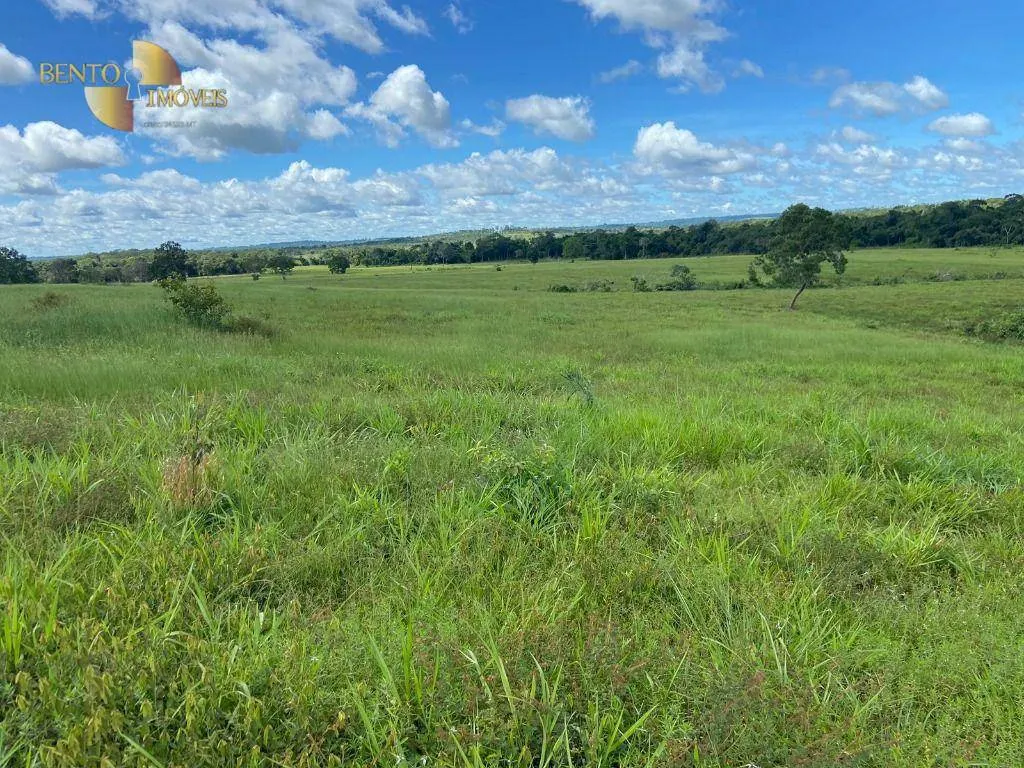 Farm for sale of 247 acres in Pimenta Bueno, RO, Brazil