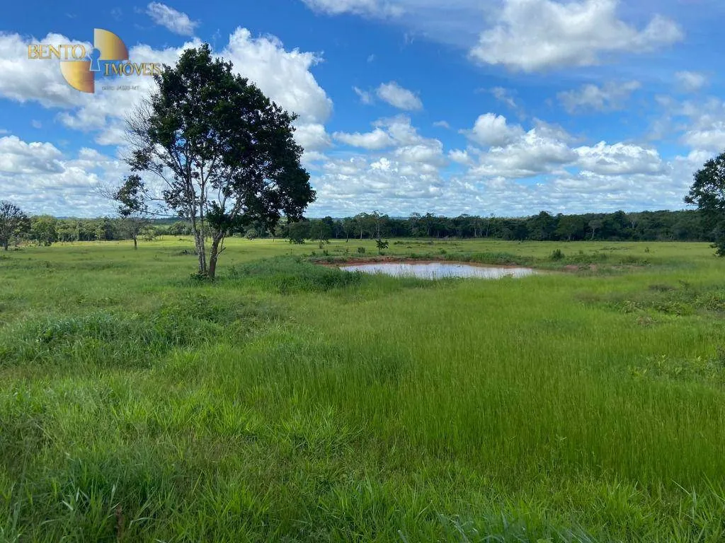 Farm for sale of 247 acres in Pimenta Bueno, RO, Brazil