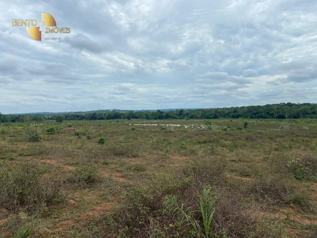 Farm for sale of 247 acres in Pimenta Bueno, RO, Brazil