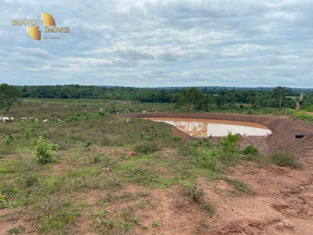 Farm for sale of 247 acres in Pimenta Bueno, RO, Brazil