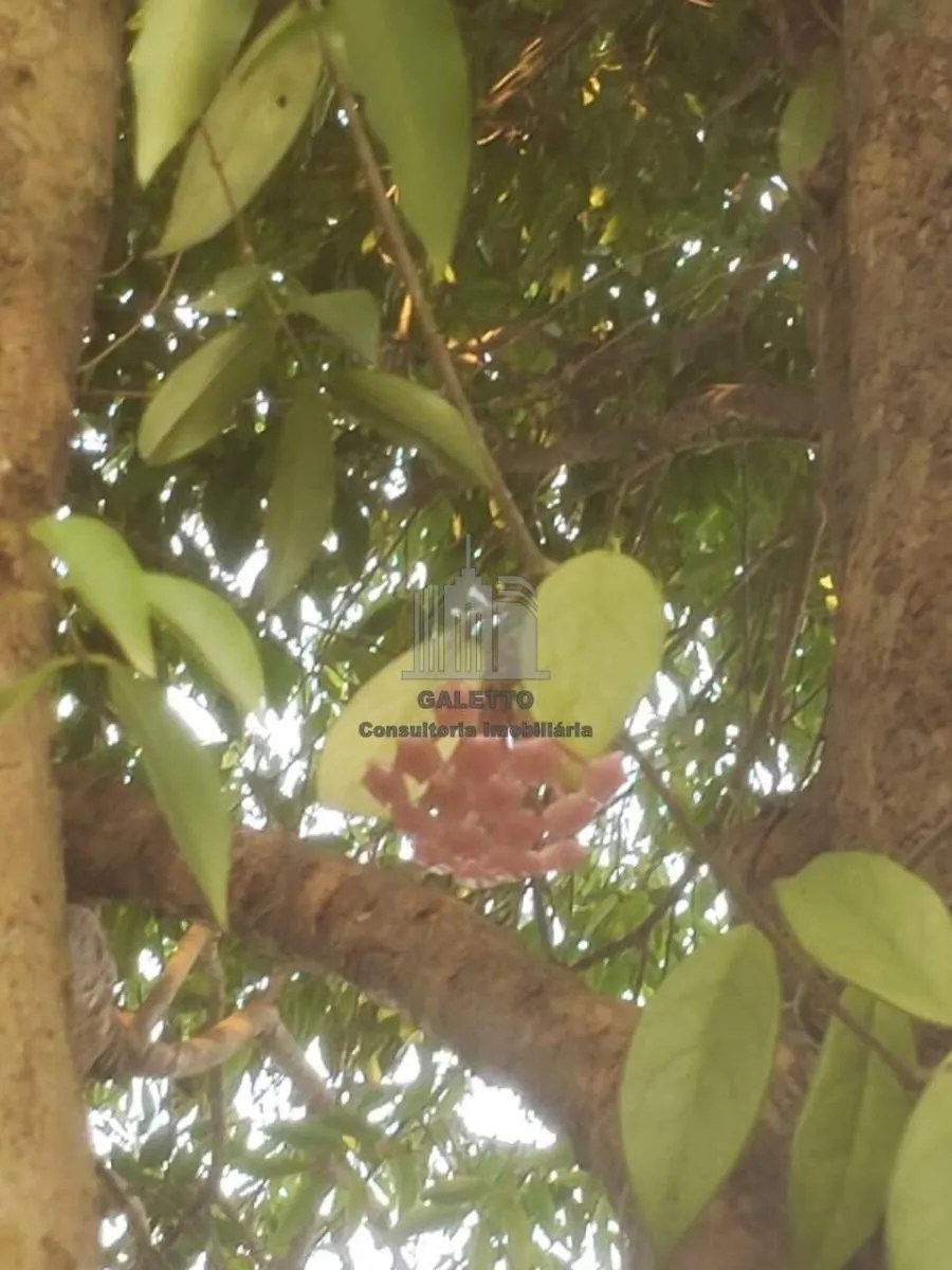 Chácara à venda de 5.975 m² em Jundiaí, SP, Brasil