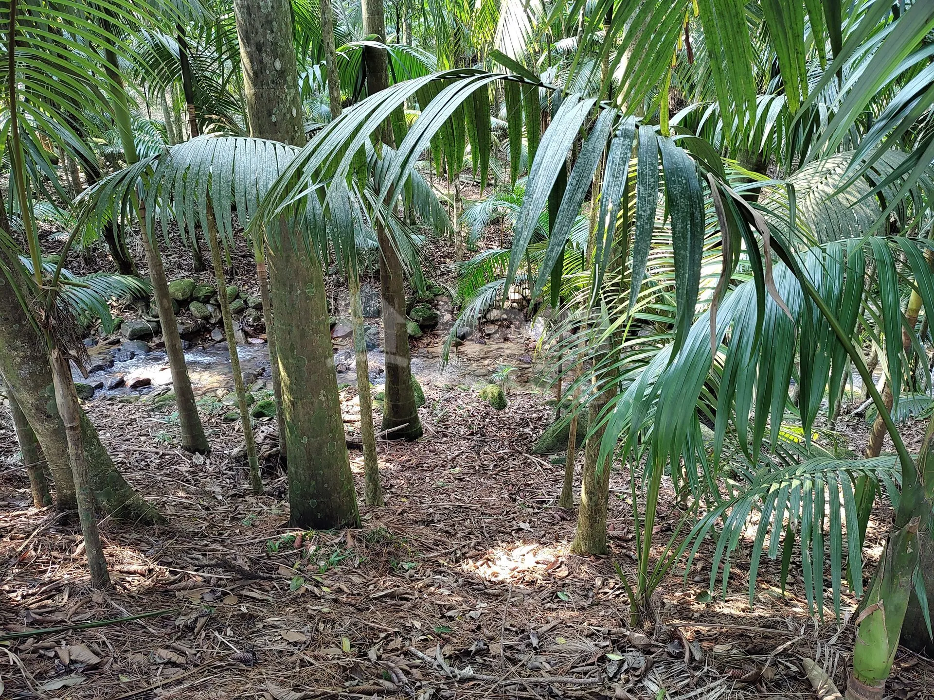 Country home for sale of 2 acres in Guabiruba, SC, Brazil