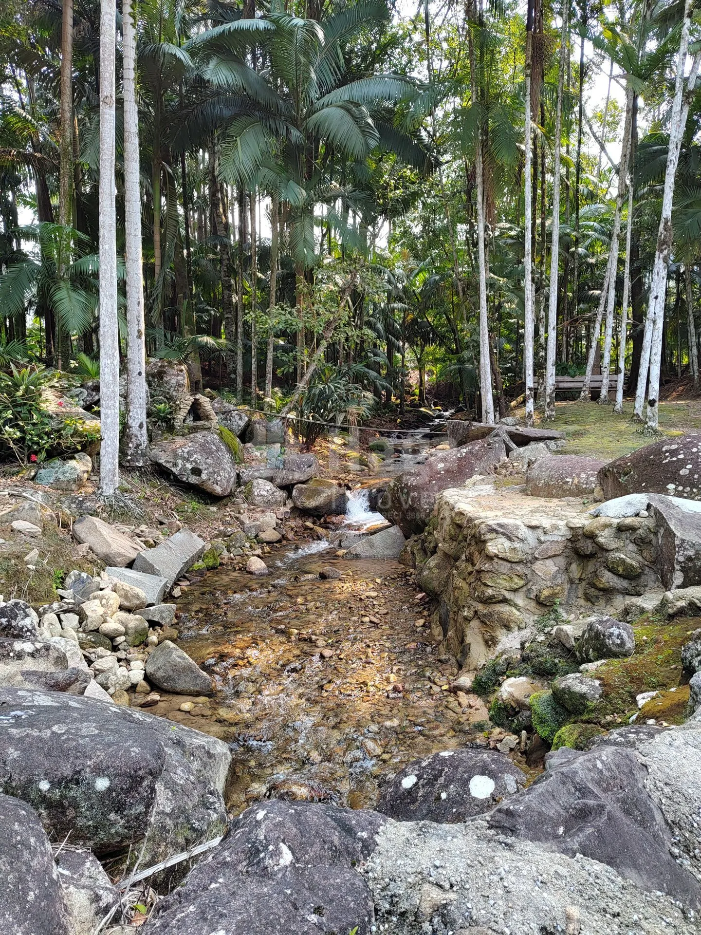 Country home for sale of 2 acres in Guabiruba, SC, Brazil