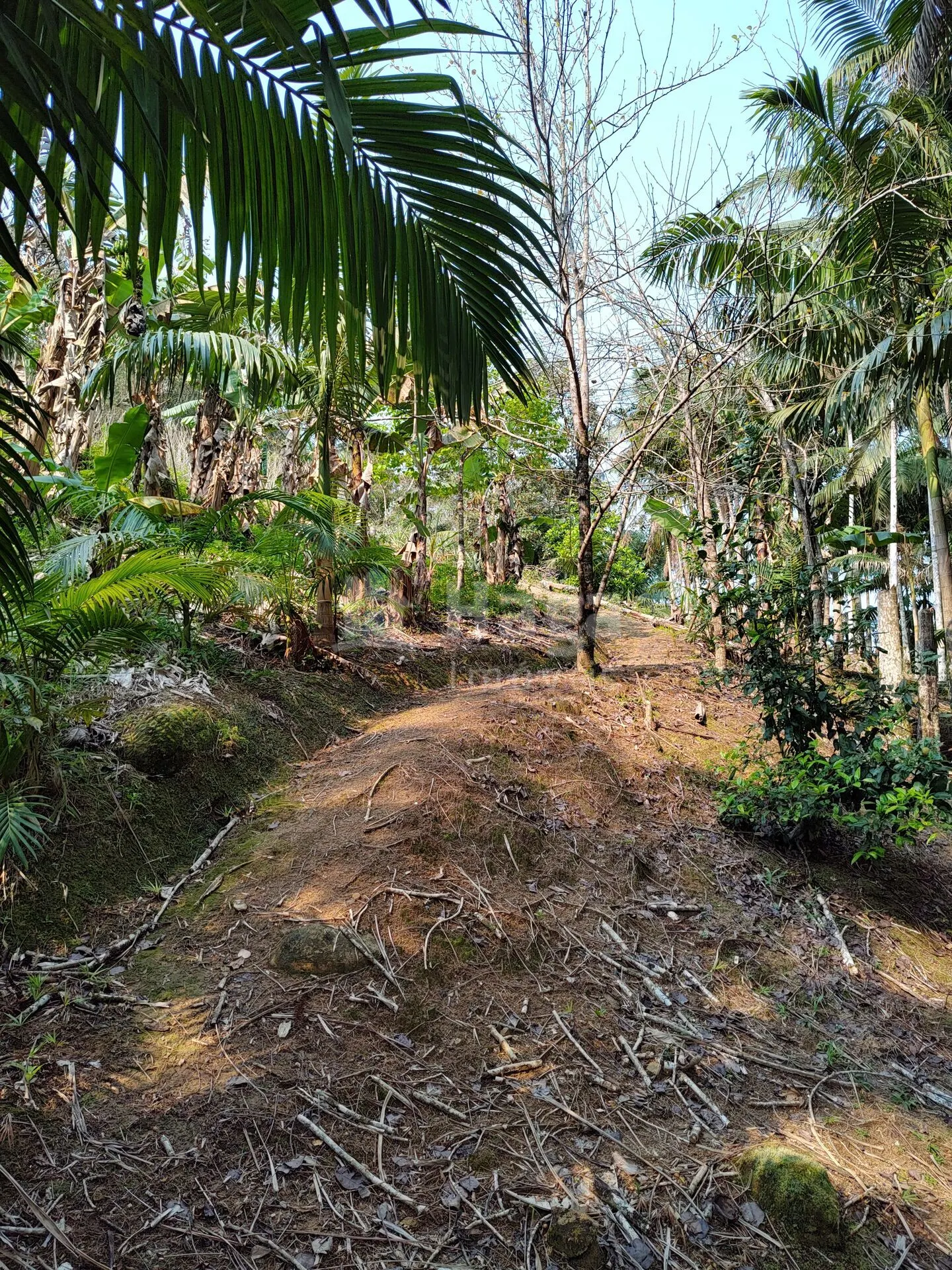 Country home for sale of 2 acres in Guabiruba, SC, Brazil