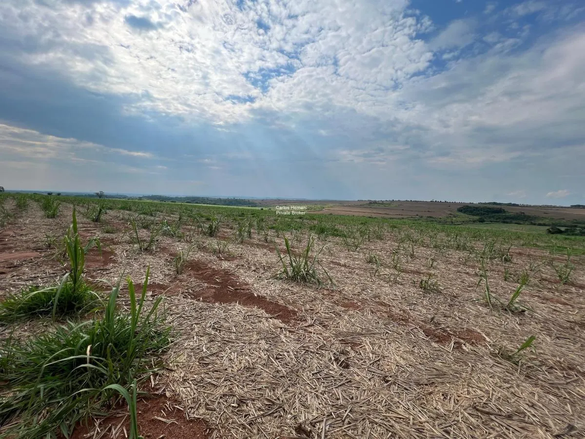 Small farm for sale of 47 acres in Indaiatuba, SP, Brazil