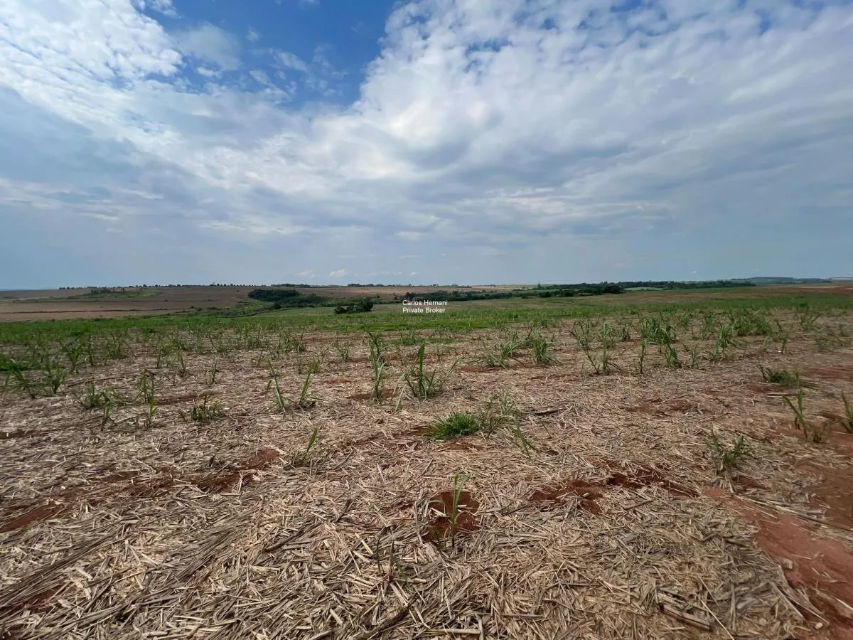 Small farm for sale of 47 acres in Indaiatuba, SP, Brazil